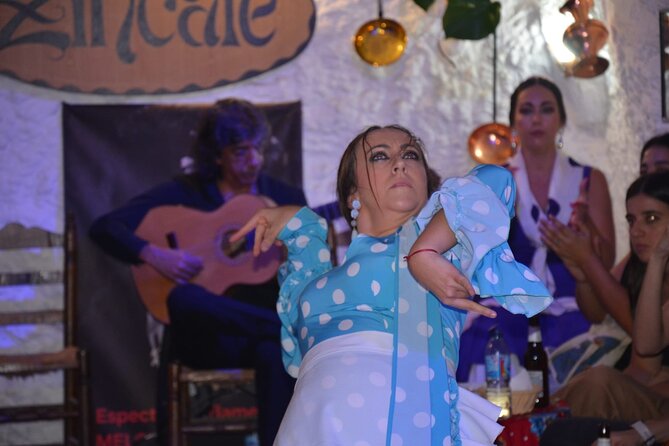 Flamenco Show in Cueva Zincalé - Is $24 a fair price?