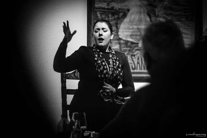 Flamenco Show in Seville at Bar and Tapas - Tapas, sangria, and tinto de verano
