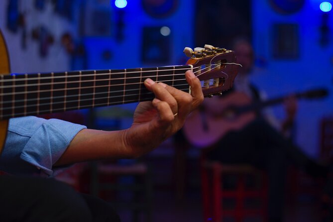 Flamenco Show in the Caves of Sacromonte - Who should choose this performance?