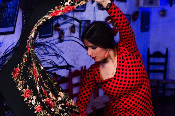 Flamenco Show in the Caves of Sacromonte - What happens during the one-hour performance