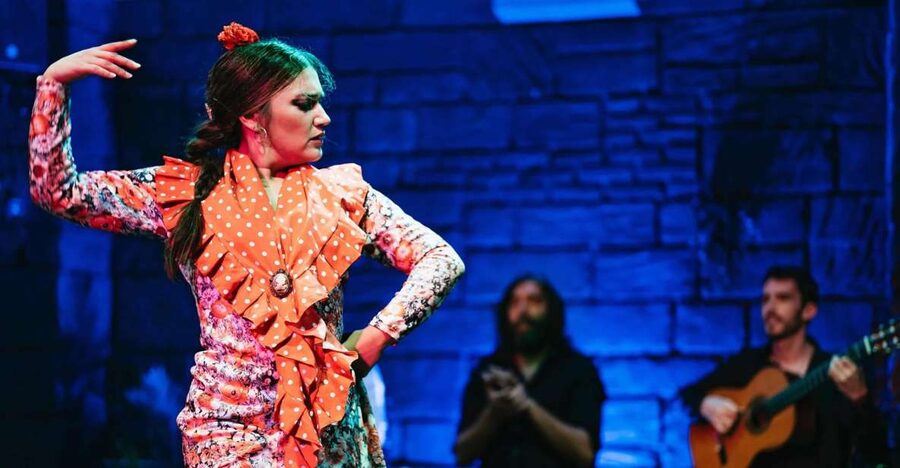Flamenco Show & Sangria Tasting - Key points at a glance