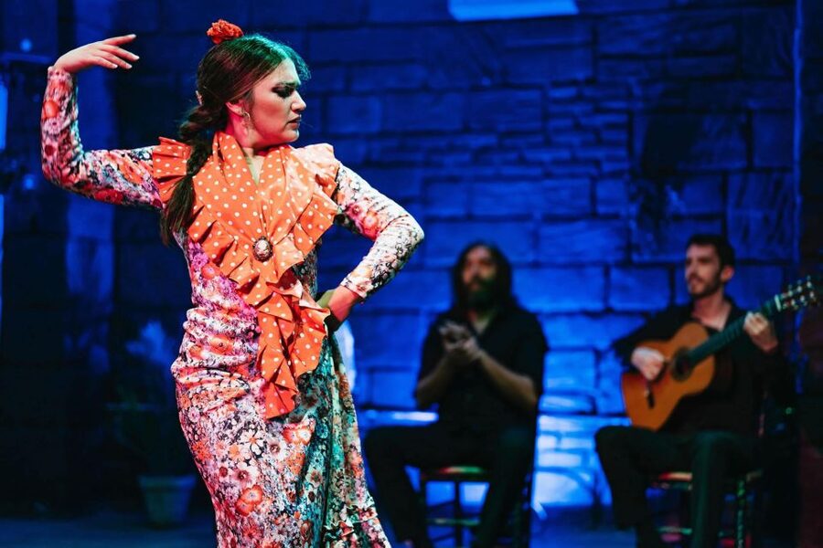 Flamenco Show & Sangria Tasting - Who will enjoy this evening most