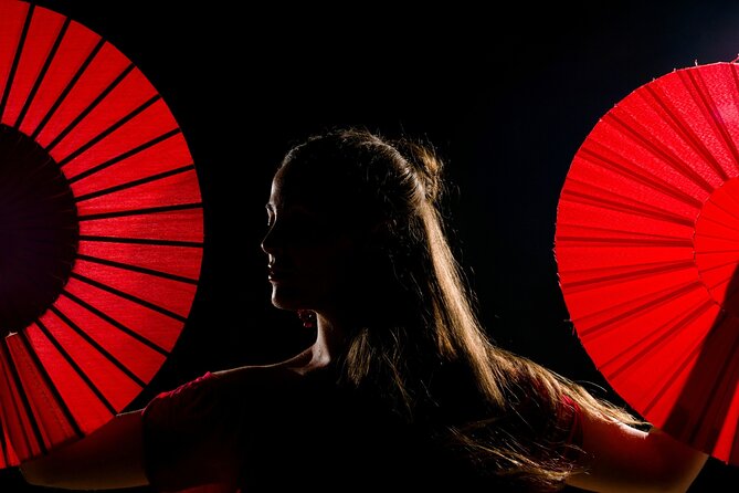 Flamenco show & tasting Tapas with panoramic views in Madrid - A short walk through La Latina