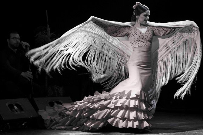 Flamenco Show Ticket at Theatre Barcelona City Hall - The music may be the highlight