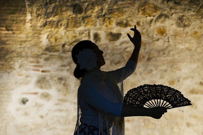 Flamenco, Tapas and Wine Tour: Best of Málaga in one Evening - Starting at Antigua Casa de Guardia