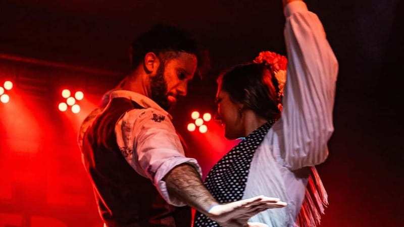 Fuengirola: Flamenco Show - Why flamenco works so well in Fuengirola