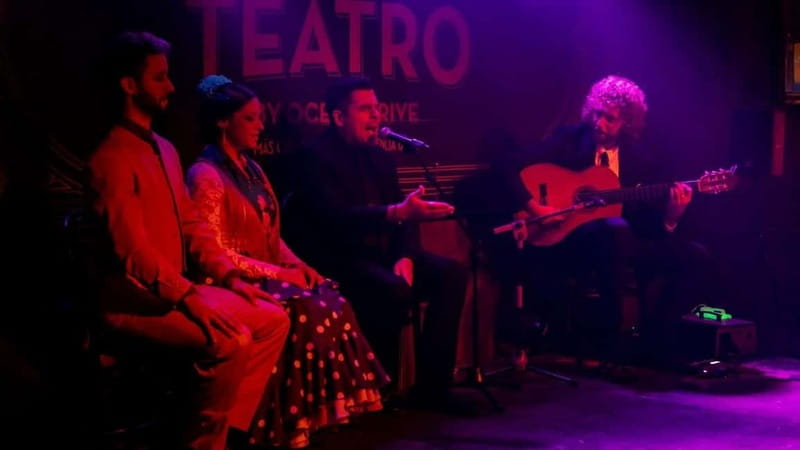 Fuengirola: Flamenco Show - What happens during the one-hour performance