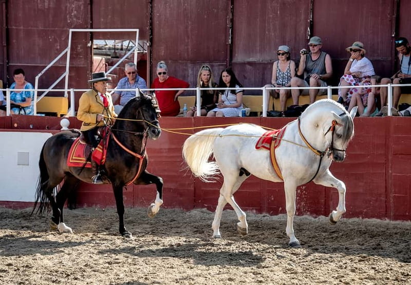 Fuengirola: Spanish Horse Show with Optional Dinner/Flamenco - Who should book it?