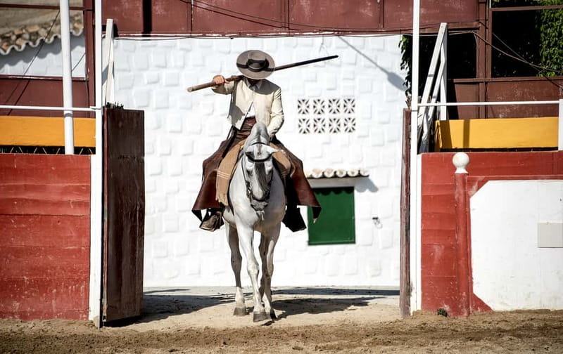Fuengirola: Spanish Horse Show with Optional Dinner/Flamenco - What the evening at Finca El Cartujano feels like