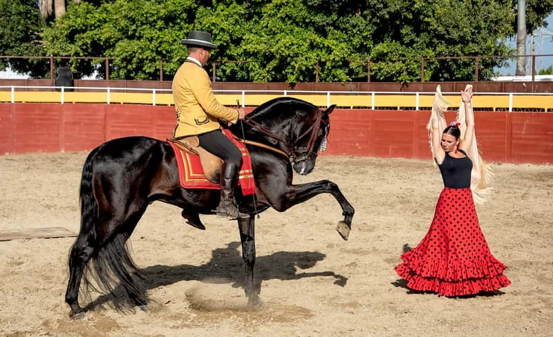 Fuengirola: Spanish Horse Show with Optional Dinner/Flamenco - Meeting the horses after the show