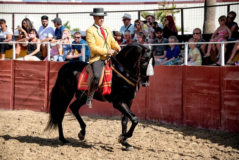Fuengirola: Spanish Horse Show with Optional Dinner/Flamenco - The 21:30 flamenco finale