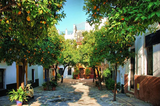 Full Day Seville Tour with tickets (optional Tapas & Flamenco) - The Royal Alcázar, gardens, and screen history