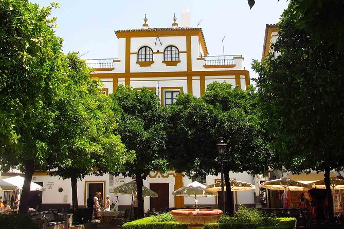 Full Day Seville Tour with tickets (optional Tapas & Flamenco) - Climbing the Giralda after the Cathedral