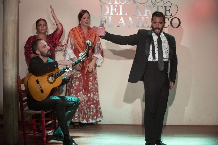 Granada: 1-Hour Traditional Flamenco Show - Key points to know before you book