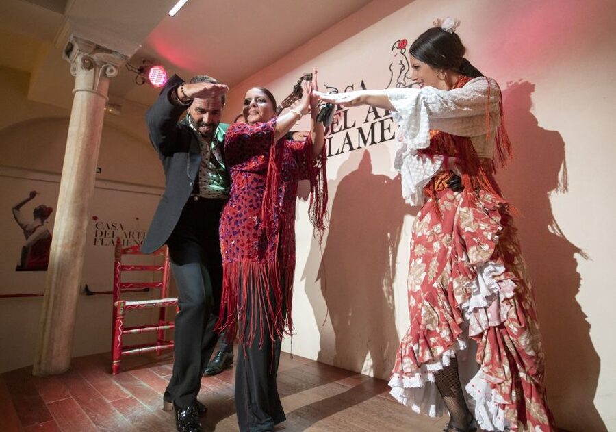 Granada: 1-Hour Traditional Flamenco Show - A practical evening stop near Plaza Nueva