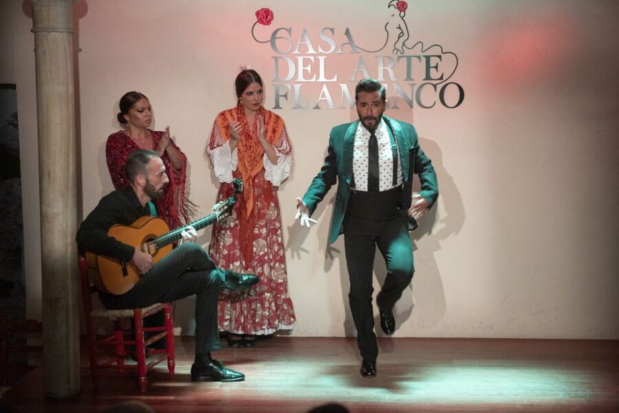 Granada: 1-Hour Traditional Flamenco Show - Is $23 a fair price?