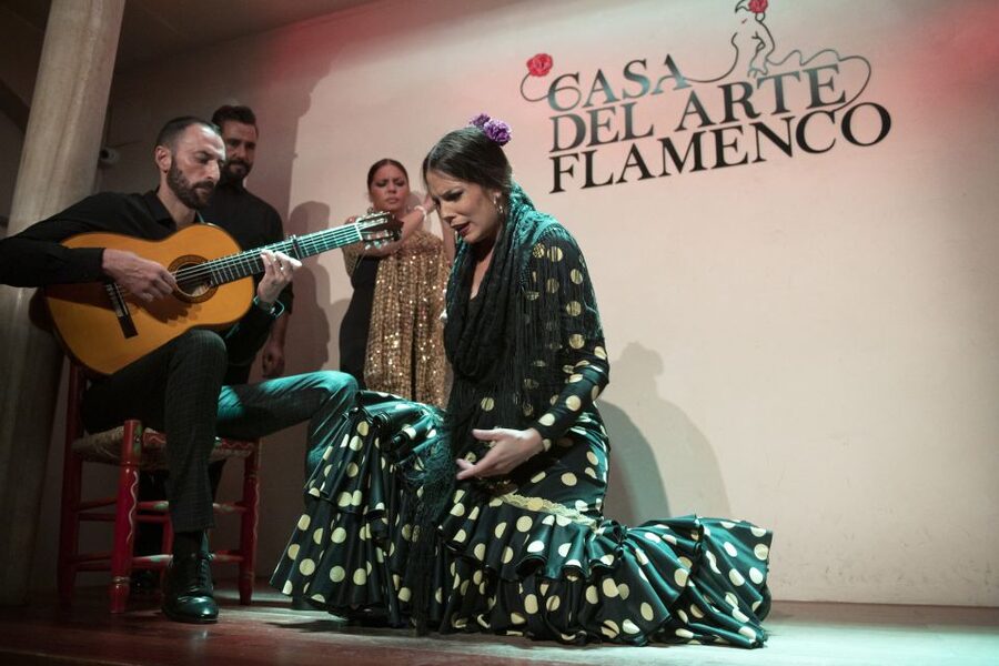 Granada: 1-Hour Traditional Flamenco Show - Who will enjoy this show most?