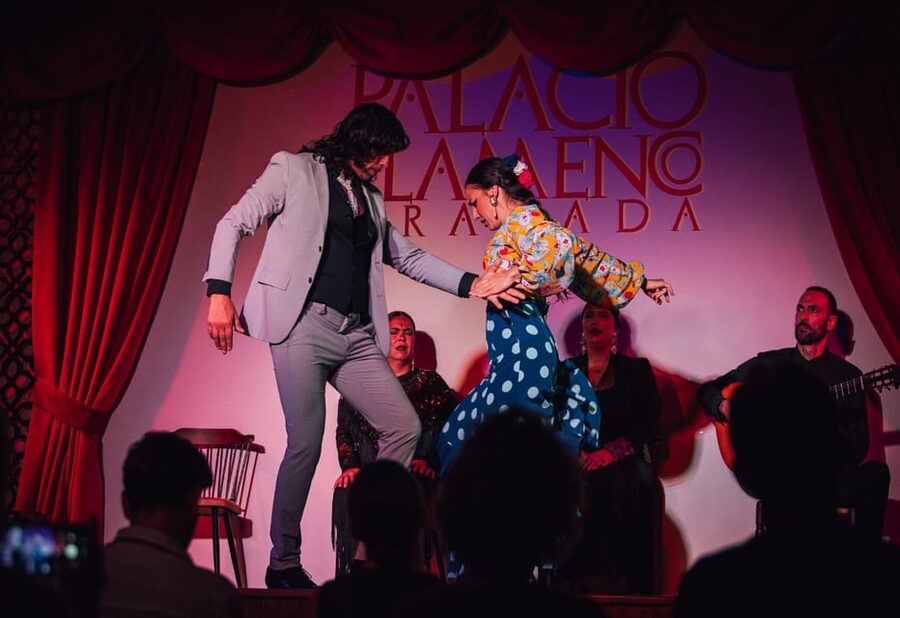 Granada: 1-Hour Traditional Flamenco Show at Palacio - Who will enjoy Palacio Flamenco most