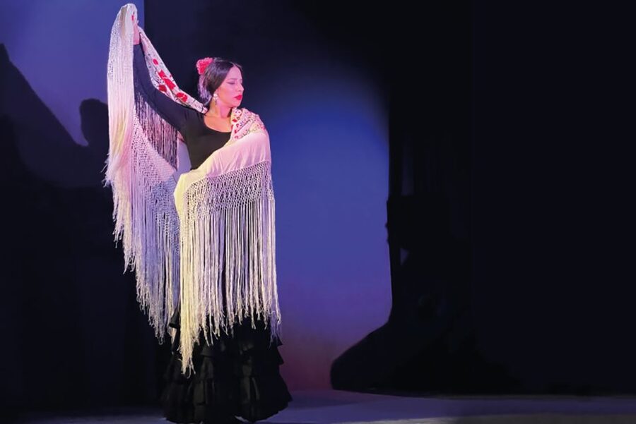 Granada: Albaicín & Sacromonte Walking Tour & Flamenco Show - Key points at a glance