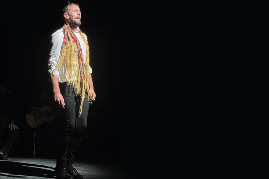 Granada: Albaicín & Sacromonte Walking Tour & Flamenco Show - Sacromonte and its cave homes