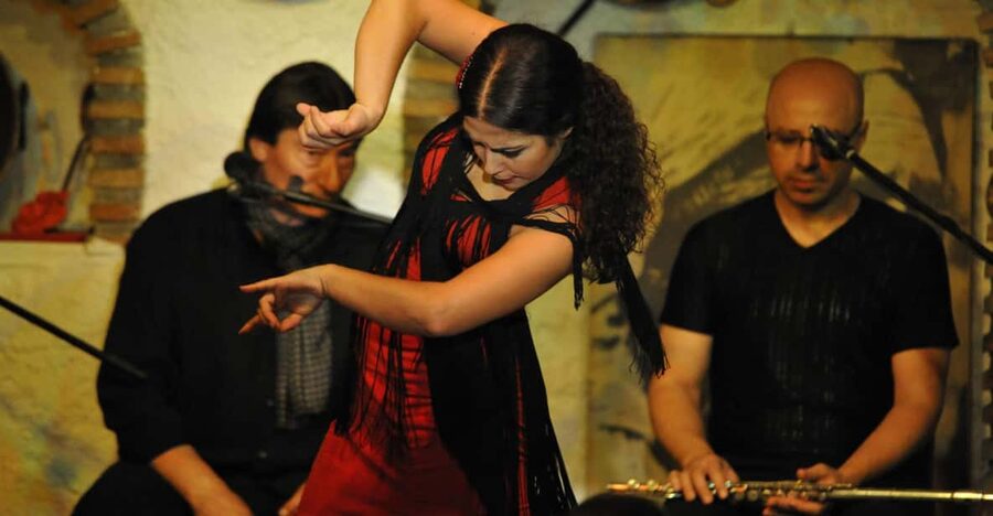 Granada: Alhambra Guided Tour and Flamenco Show - Transport and meeting points need extra attention
