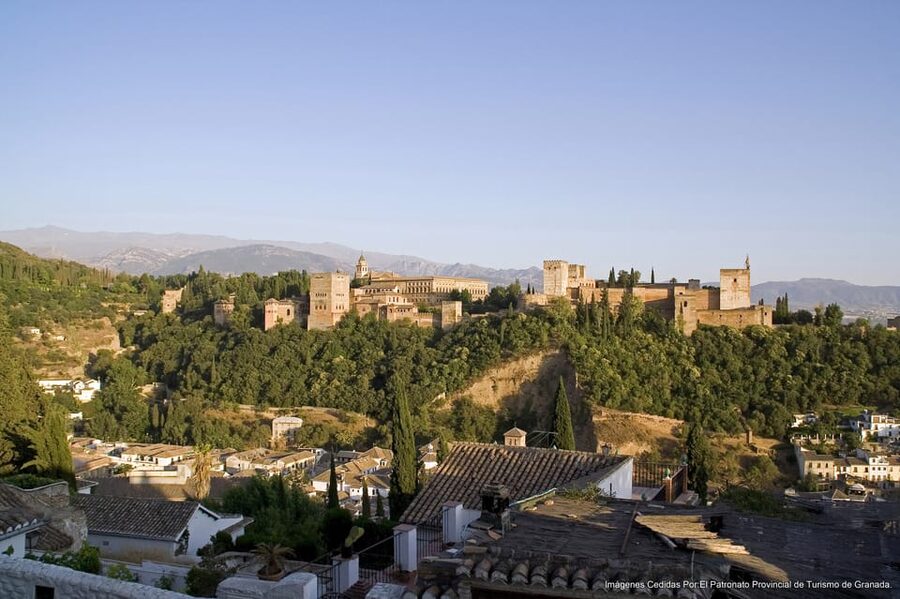 Granada: Alhambra Guided Tour and Flamenco Show - The Nasrid Palaces, one hour of carved detail
