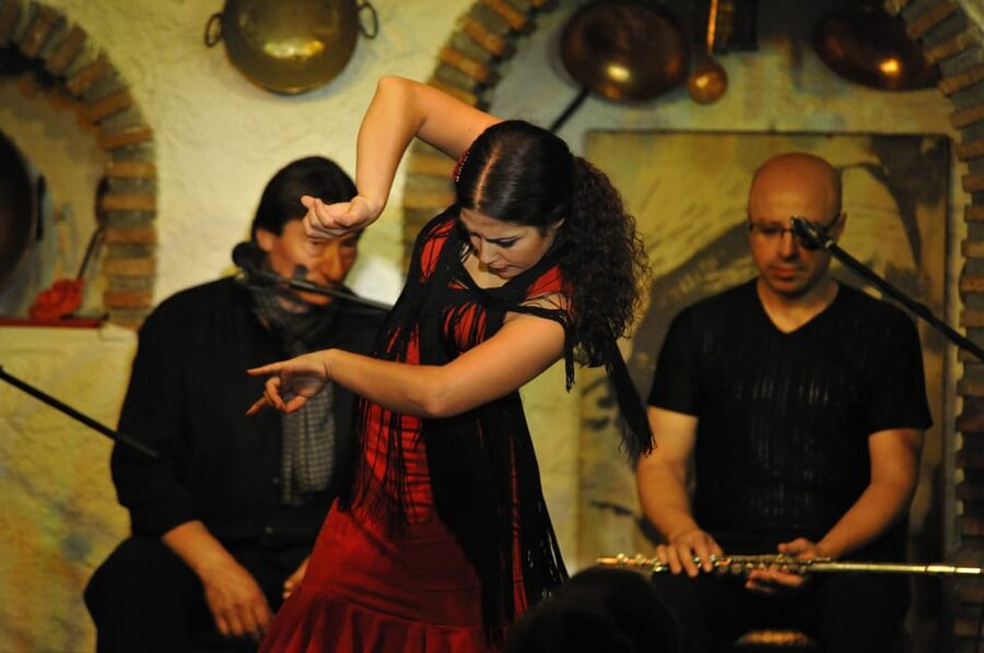 Granada: Alhambra Guided Tour and Flamenco Show - Entering the Alhambra with the right documents