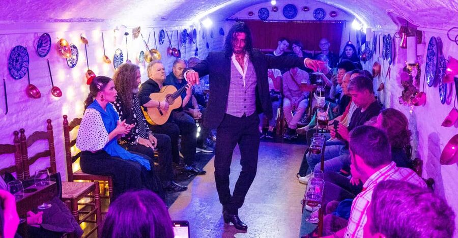 Granada: Authentic and intimate Flamenco Show with Snacks - Who will enjoy this flamenco show most?