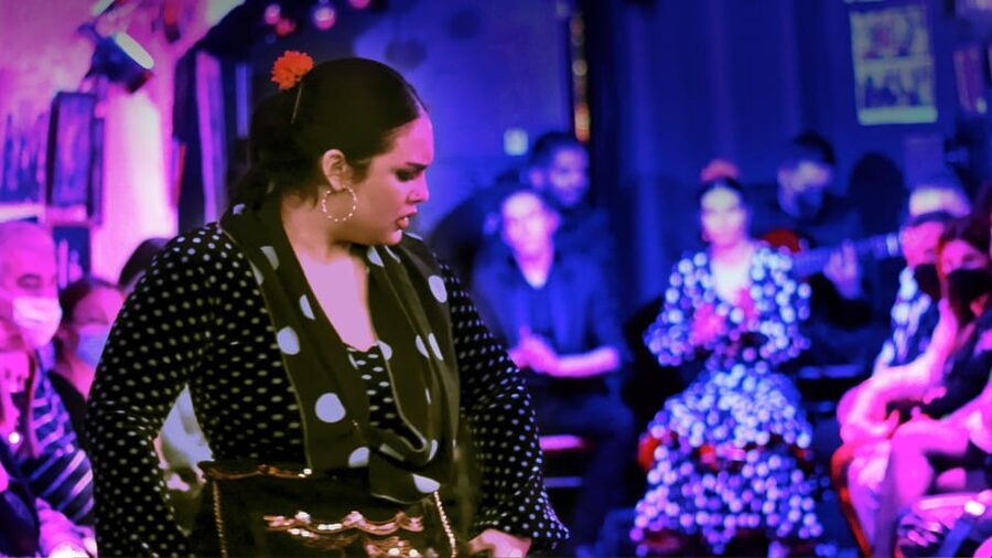 Granada: Flamenco Show at Cueva de la Rocío - What happens during the one-hour performance