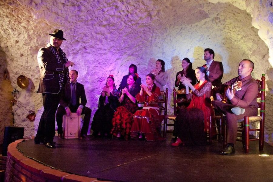 Granada: Flamenco Show at Templo del Flamenco with Drink - Who will enjoy Templo del Flamenco most?