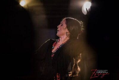 Flamenco Show in Albayzín – Jardines de Zoraya