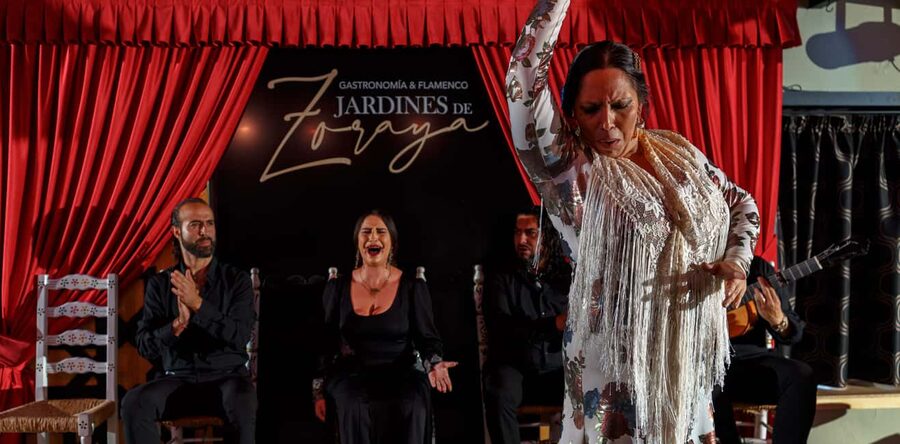 Granada: Flamenco Show in Albayzín - Jardines de Zoraya - What to know before you book