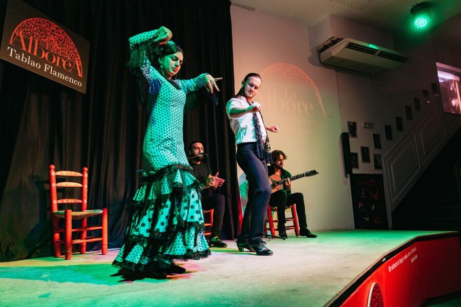 Granada: Flamenco Show in La Alboreá - Entering La Alboreá in the Heart of Granada