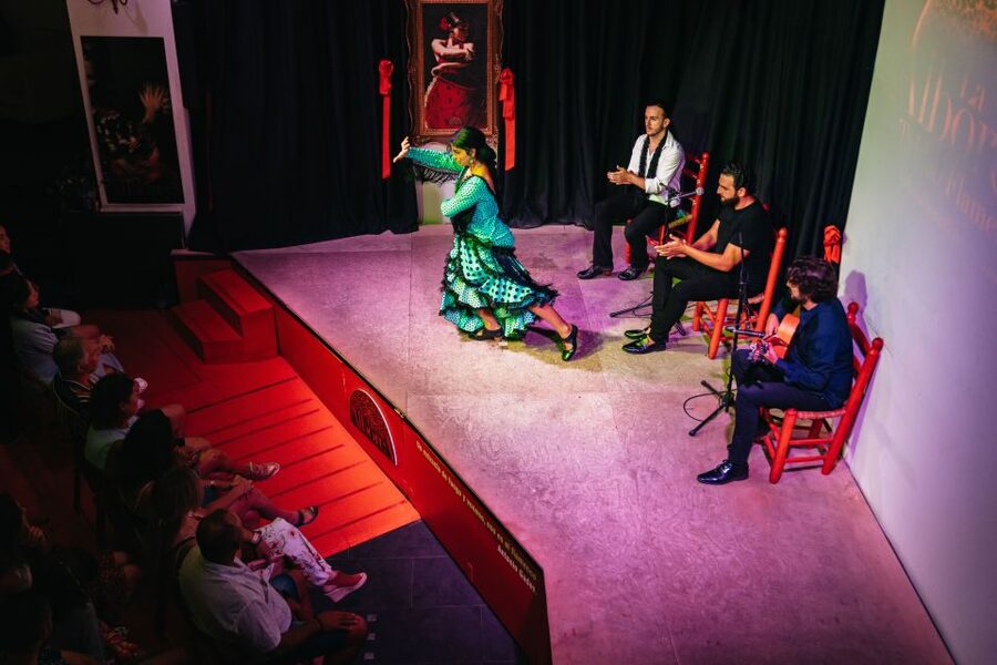 Granada: Flamenco Show in La Alboreá - Wine, Iberian Snacks, and the Extra Cost