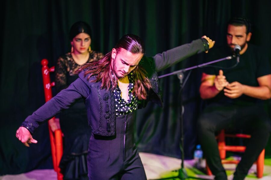 Granada: Flamenco Show in La Alboreá - What the Strongest Praise Gets Right