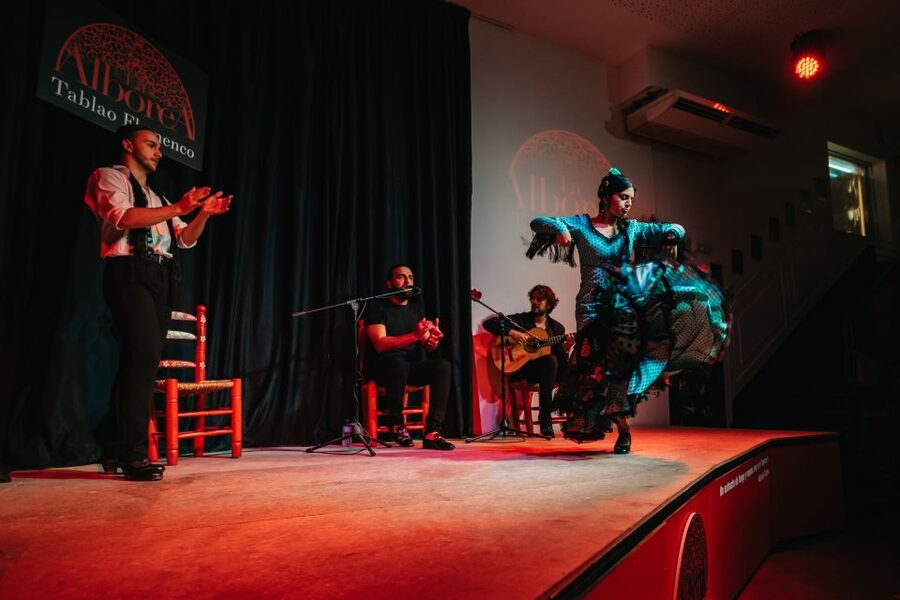 Granada: Flamenco Show in La Alboreá - Who Will Enjoy This Granada Flamenco Show Most?