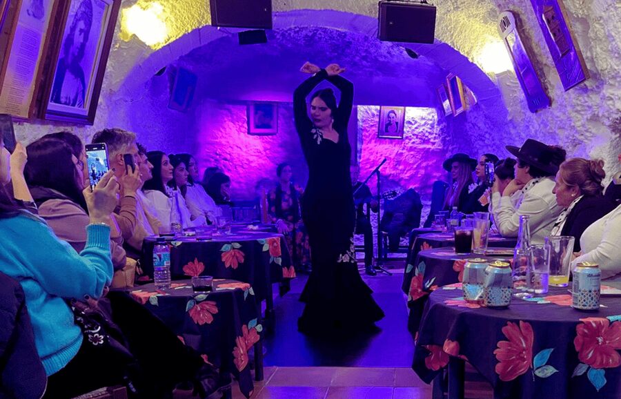 Granada: Flamenco Show in the Cave LA FARAONA - Quick points about Cueva La Faraona