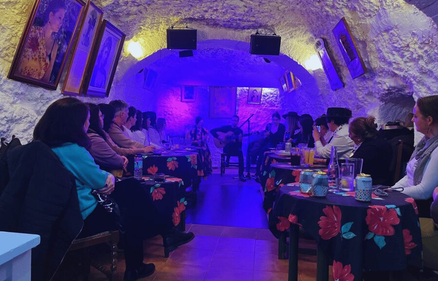 Granada: Flamenco Show in the Cave LA FARAONA - Who will enjoy this flamenco show most