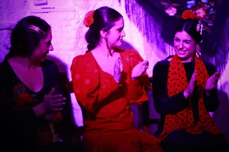 Granada: Flamenco Show Los Parrones in the Sacromonte Caves - What happens during the one-hour show