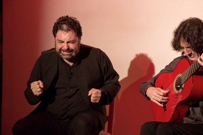 Granada Flamenco & Tapas Tour - Who should book this evening?