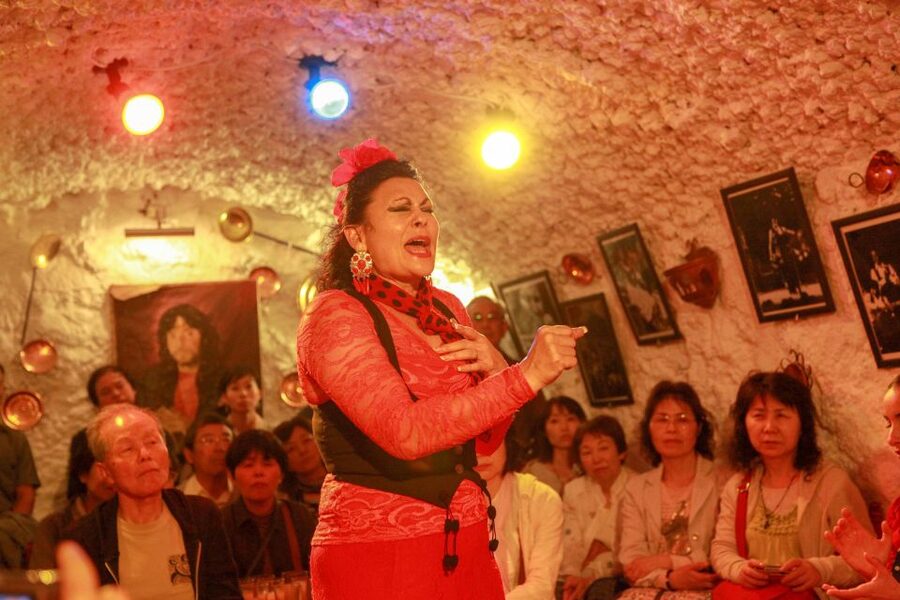 Granada: Sacromonte Caves Flamenco Show with Dinner - A close-up flamenco performance