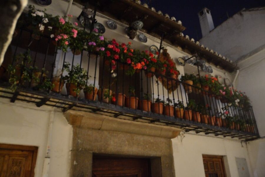Granada: Sacromonte Caves Flamenco Show - Inside the one-hour flamenco show