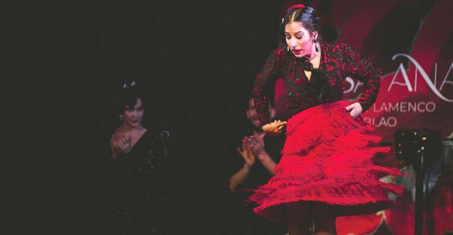 Granada: Traditional Flamenco Show at Tablao Casa Ana - Key points to know before booking