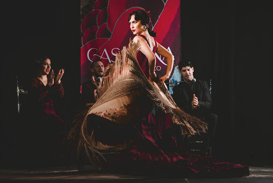 Granada: Traditional Flamenco Show at Tablao Casa Ana - Arriving in Granada’s historic center