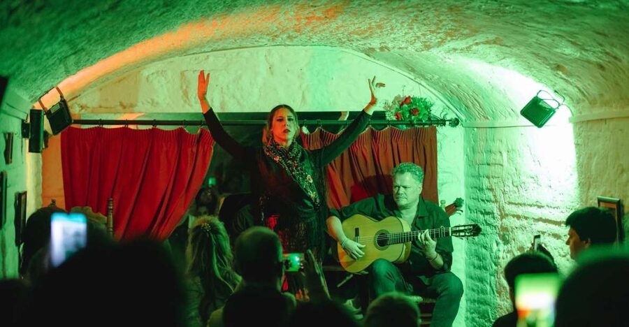 Granada: Traditional Flamenco Show in a Cave Entry Ticket - Why a Cave Makes This Show Different