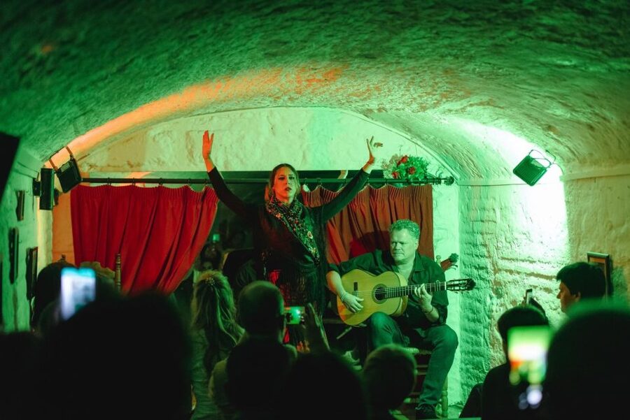 Granada: Traditional Flamenco Show in a Cave Entry Ticket - The Performers Are the Main Attraction