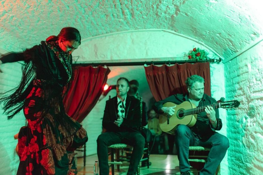 A flamenco dancer mid-turn under stage light