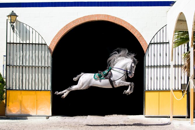 Horse and Flamenco Show in Malaga - What Ritmo a Caballo Actually Is