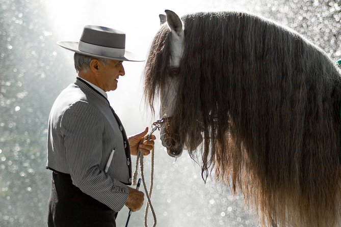 Horse and Flamenco Show in Malaga - Horse Welfare: The Important Reservation