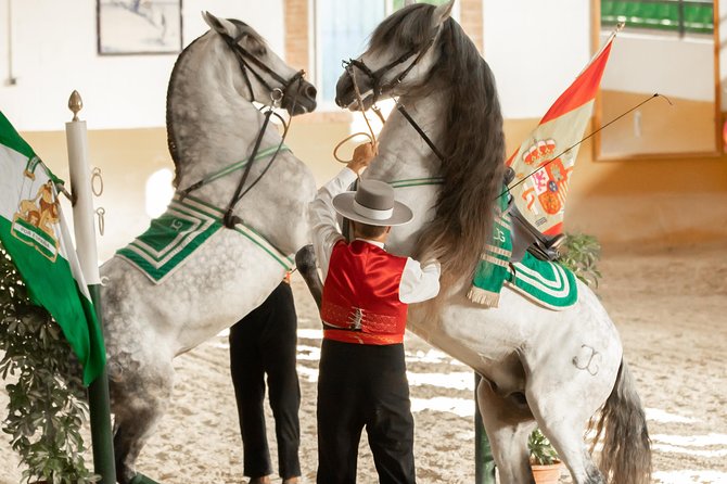Horse and Flamenco Show in Malaga with Dinner - Ritmo a Caballo from 5:45 to 7:30 p.m.